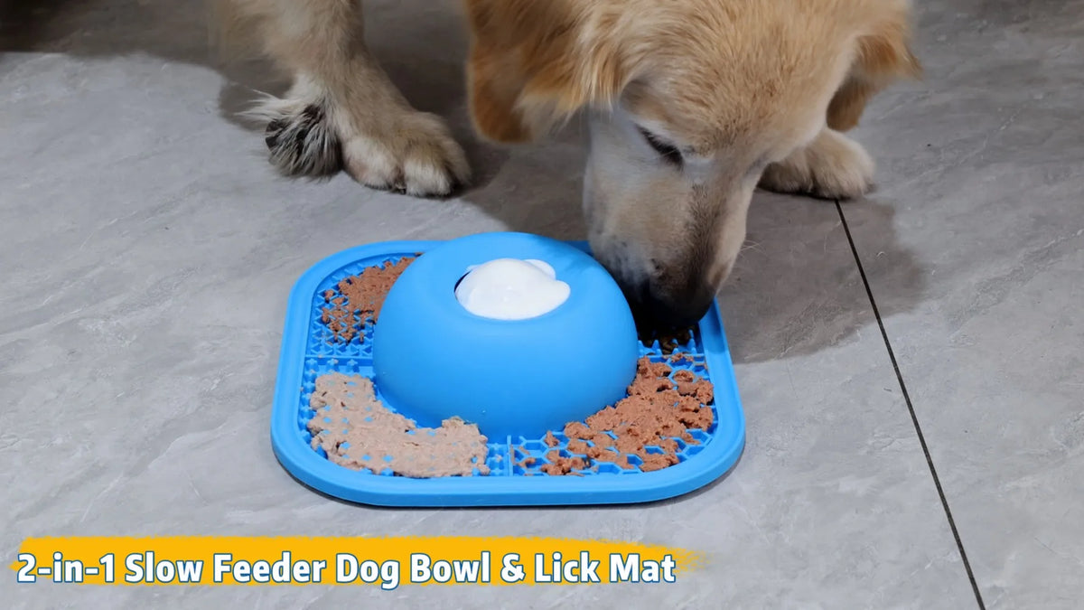 Slow Feeder Dog Lick Bowl With Anti Slip Rolling Ball Toy
