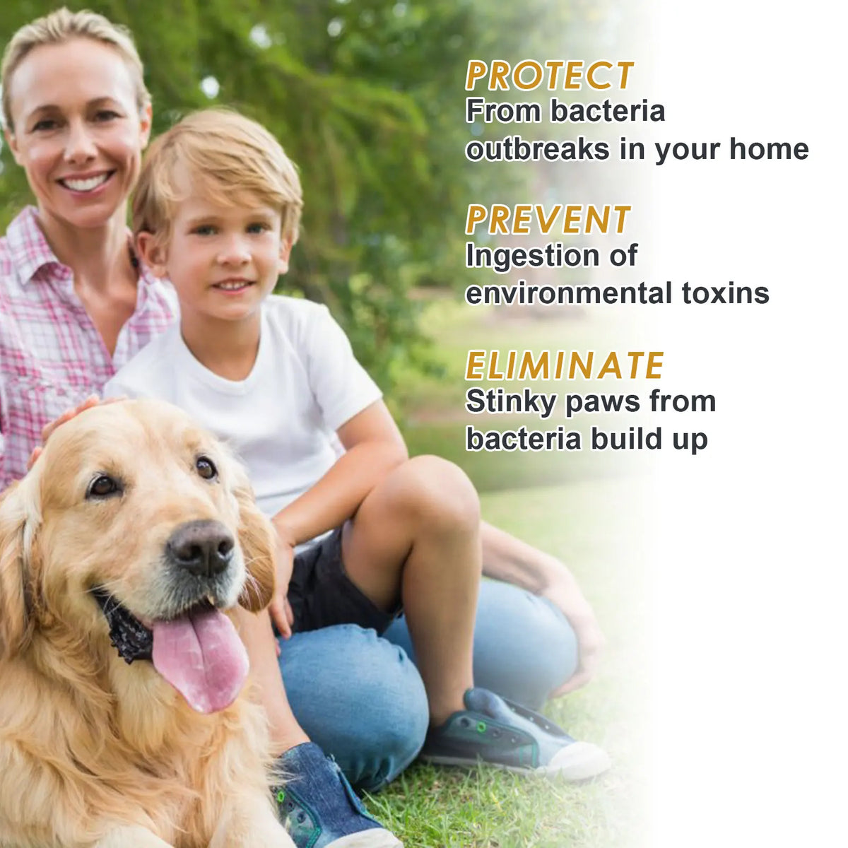 Yegbong Pet Paw Dry Shampoo Mousse for Dogs and Cats