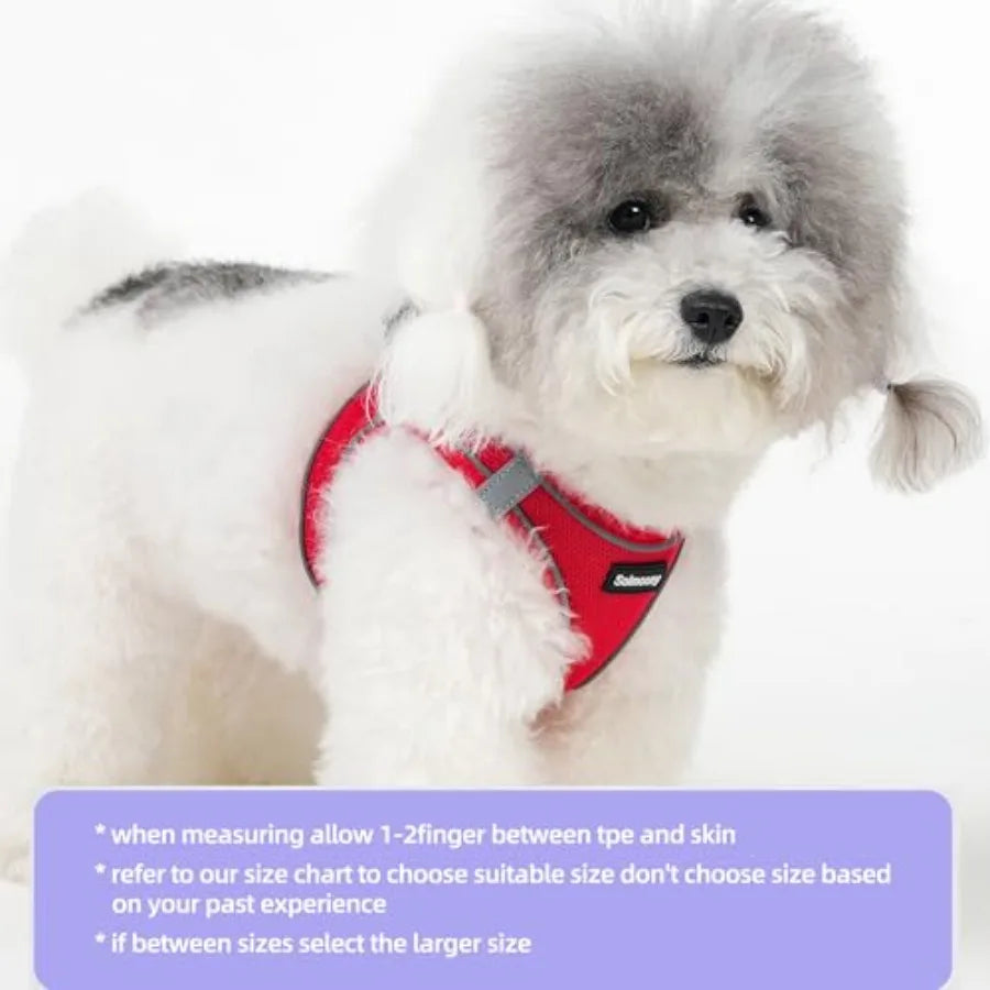 Breathable Sparkly Dog Harness And Reflective Leash For Pets