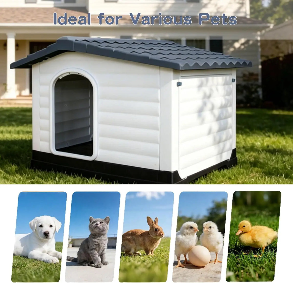 Twisterck Waterproof Dog House Featuring Elevated Porch Design