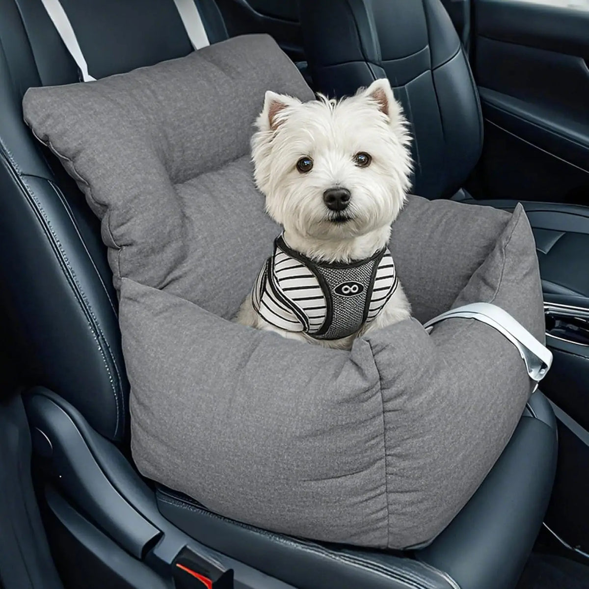 HiMiss Elevated Dog Booster Car Seat With Washable Cushion