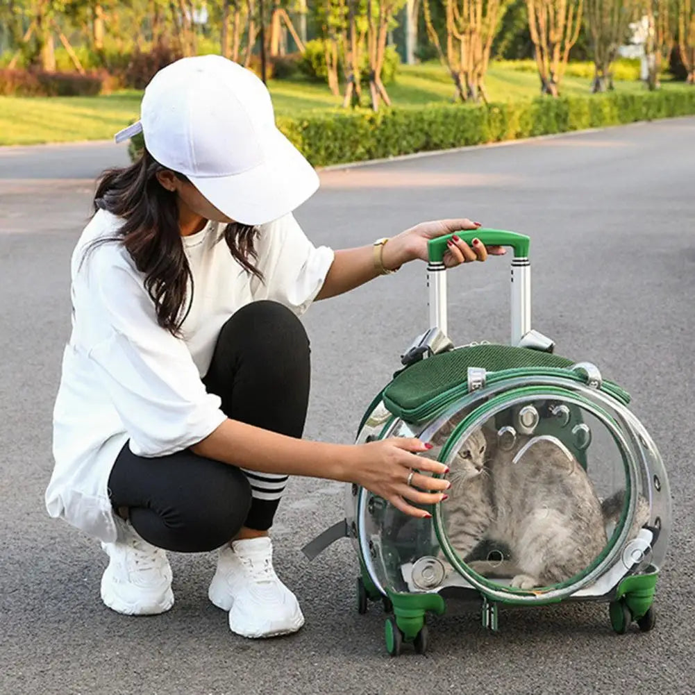 Durable Pet Trolley Backpack Carrier For Cats And Dogs Travel