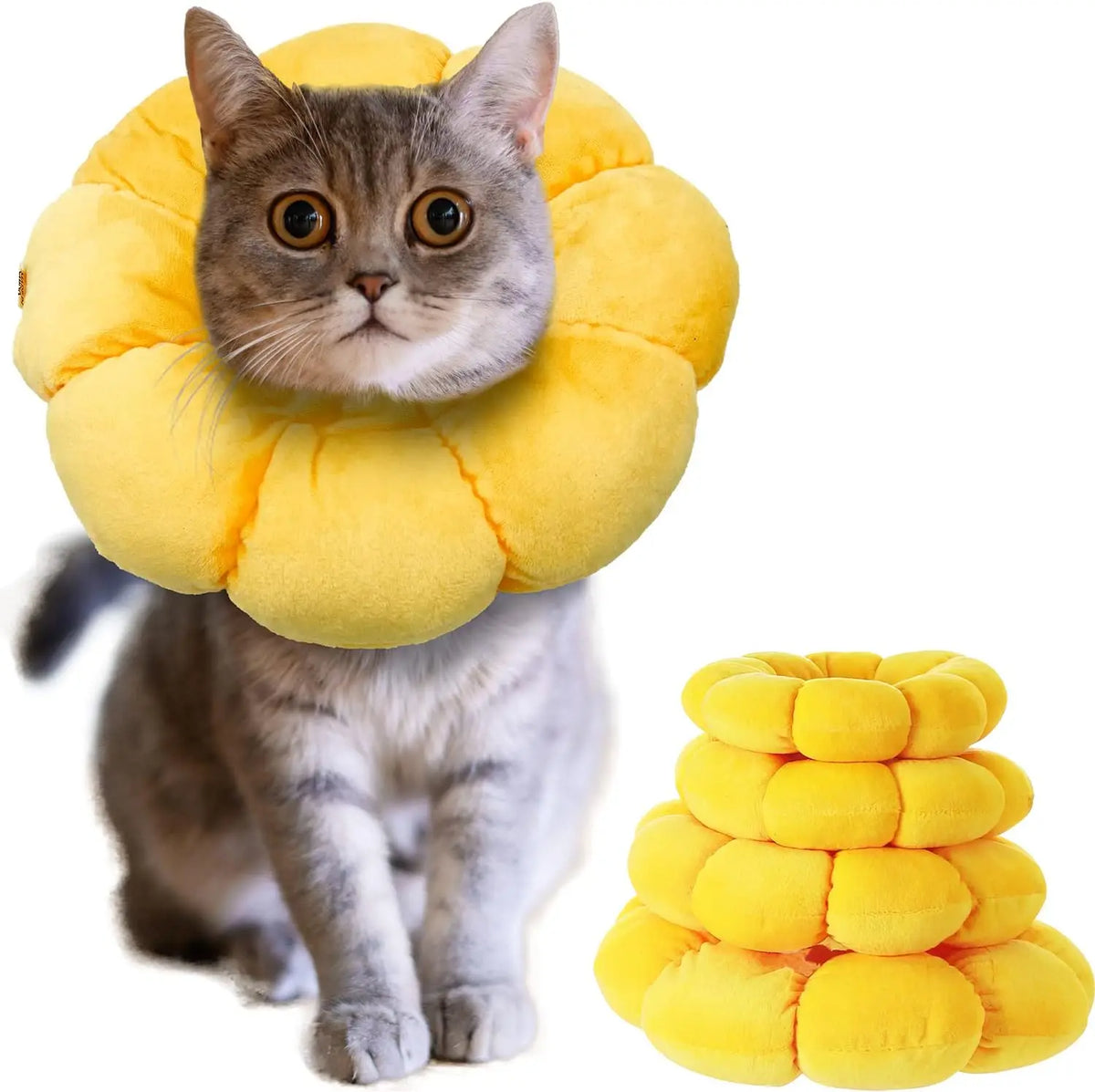Adjustable Pet Recovery Collar For Cats And Small Dogs