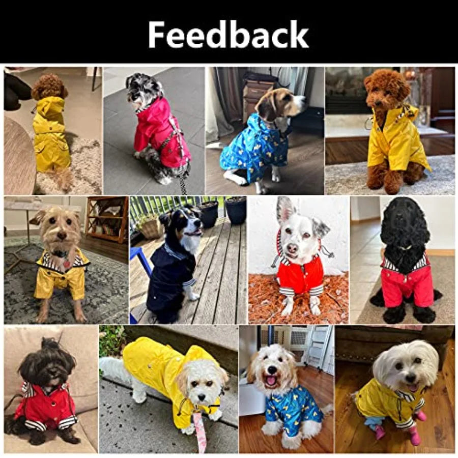 Water Resistant Dog Raincoat With Zip Closure And Removable Hood