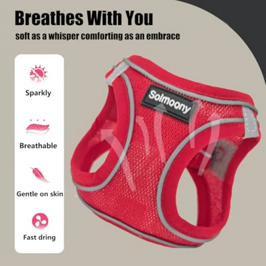 Breathable Sparkly Dog Harness And Reflective Leash For Pets