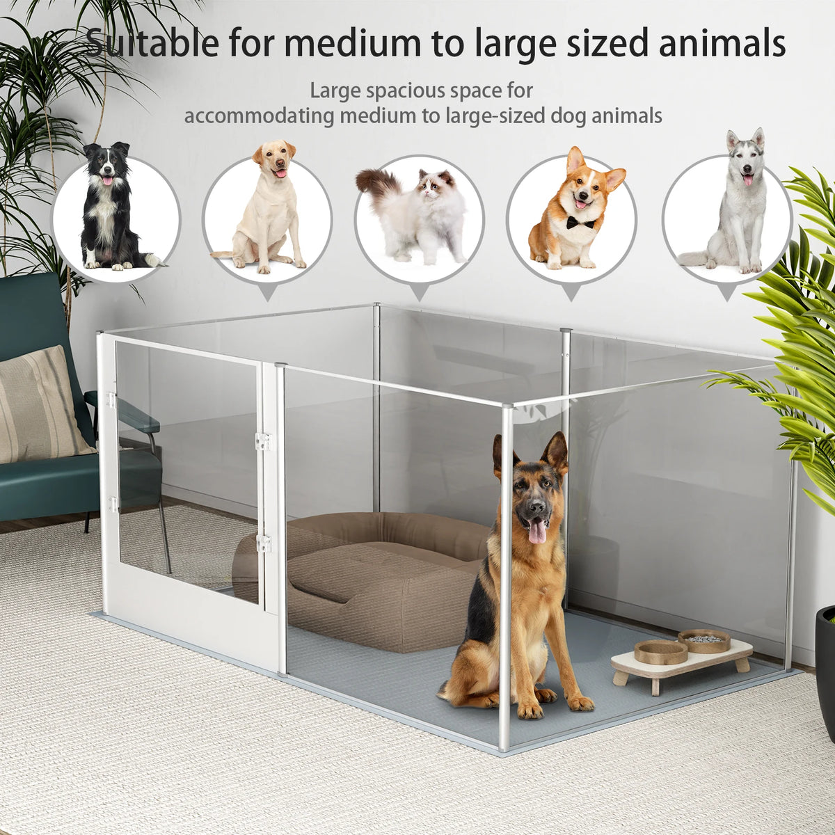 BINGOPAW Acrylic Dog Playpen Fence And Kennel Crate