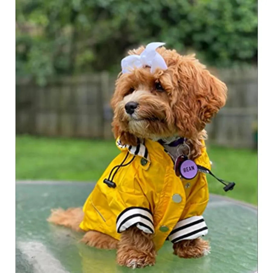 Water Resistant Dog Raincoat With Zip Closure And Removable Hood
