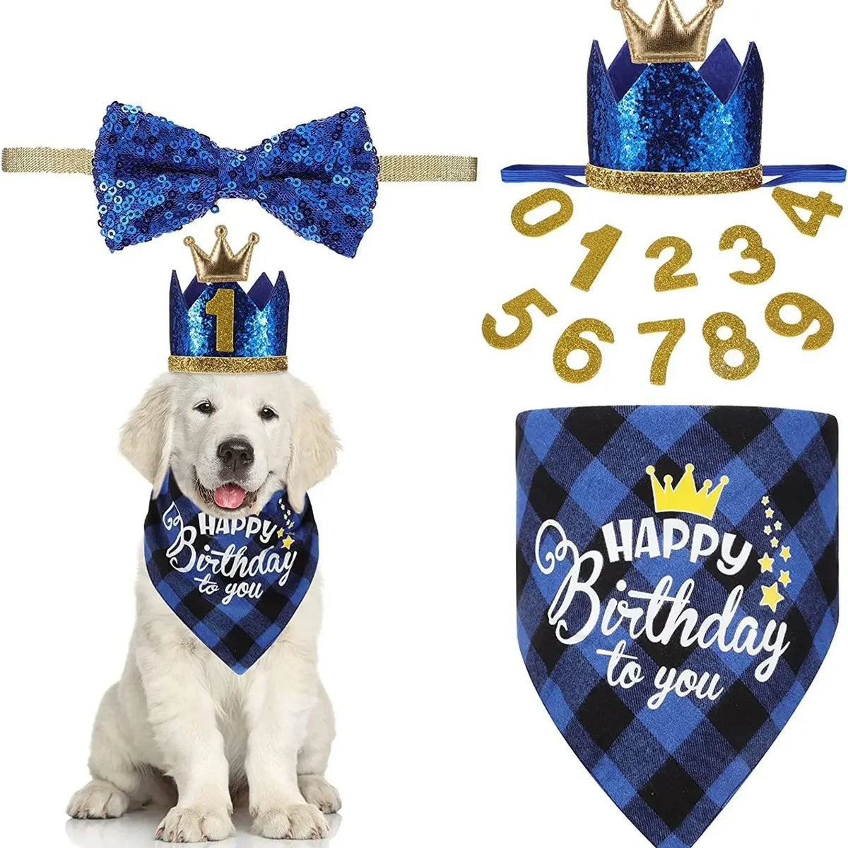 Premium Leather Pet Birthday Crown Hat And Bandana Accessory Set