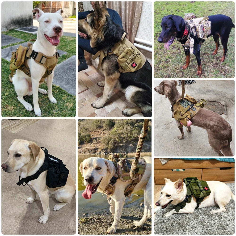 PetraVel Tactical Nylon Dog Harness With Adjustable Leash