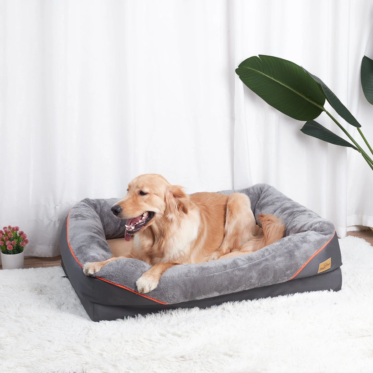 Bingopaw Waterproof Dog Bed Featuring Removable Fleece Cover And Comfort