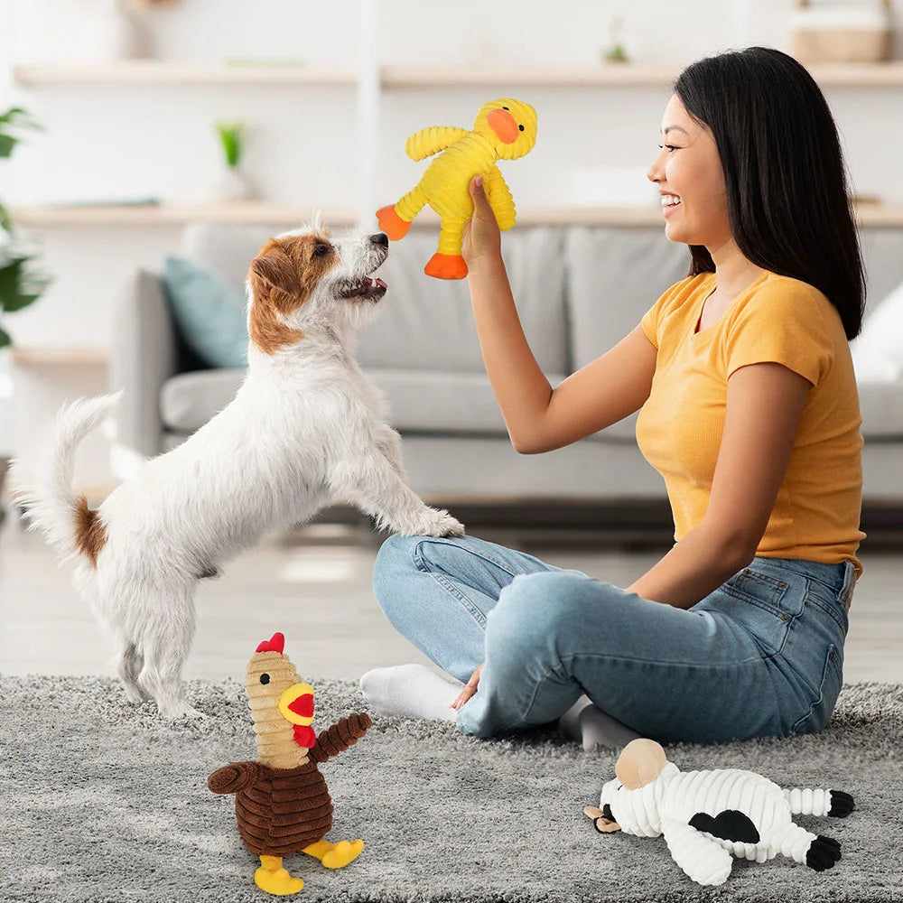 Assorted Plush Squeaky Dog Toys Stuffed Chew Value Pack