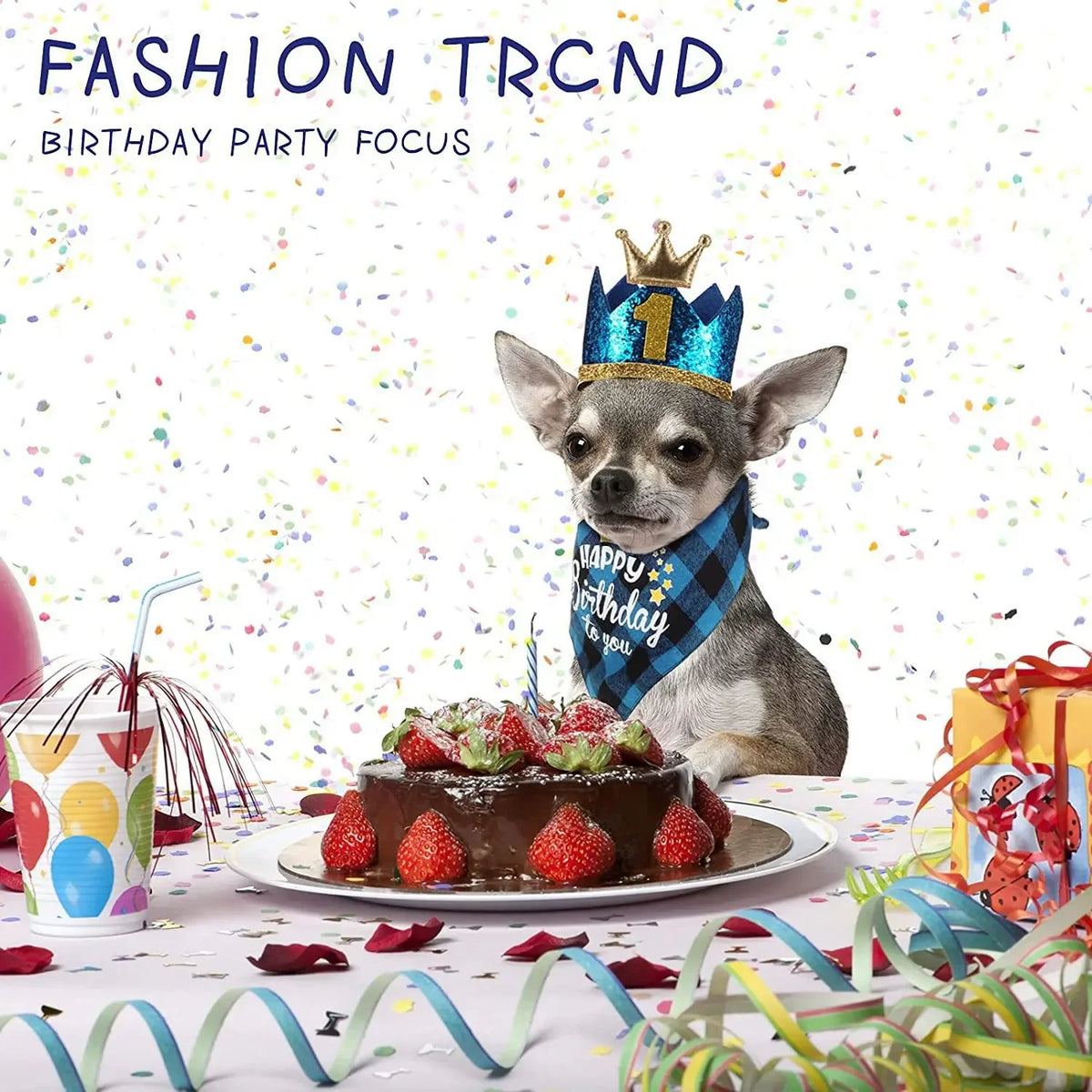 Premium Leather Pet Birthday Crown Hat And Bandana Accessory Set