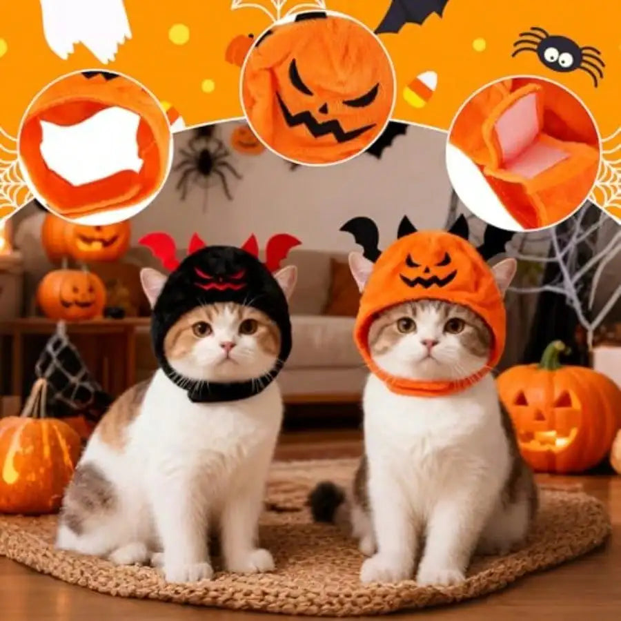 Four Piece Halloween Pet Costume With Pumpkin And Bat Designs