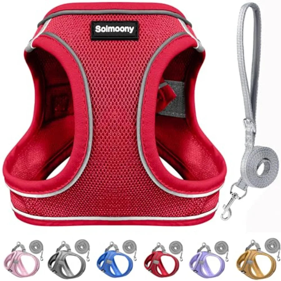 Breathable Sparkly Dog Harness And Reflective Leash For Pets