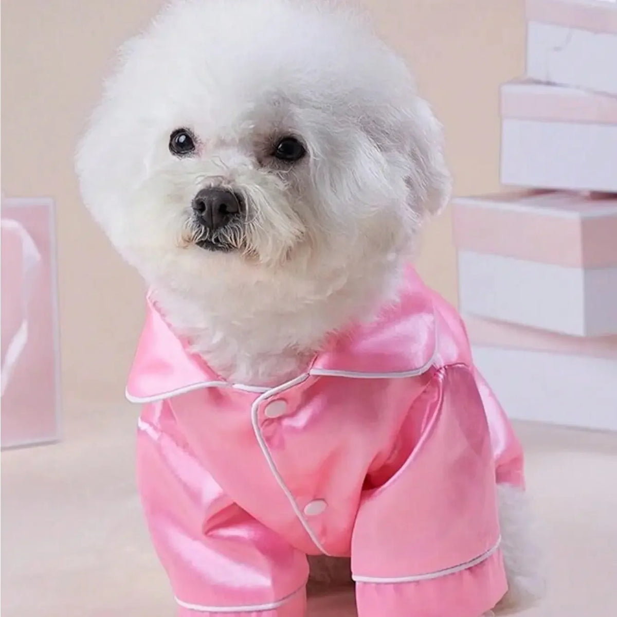 Two Legged Button Closure Pet Apparel For Dogs And Cats