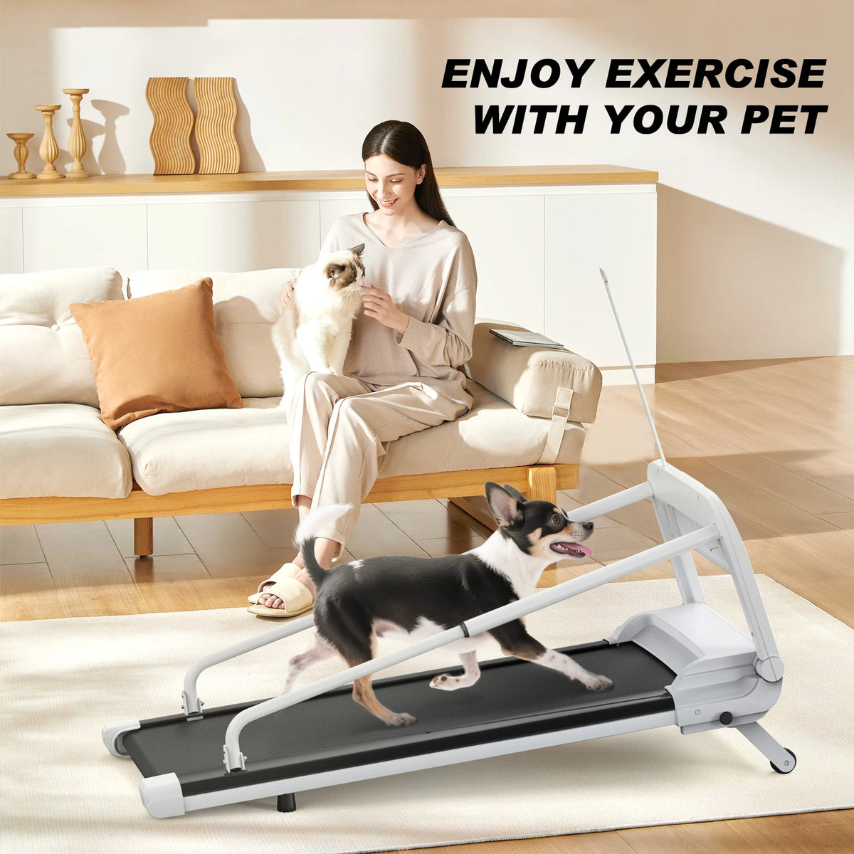 Quiet Smart Pet Treadmill For Dogs Adjustable Speed Foldable Design