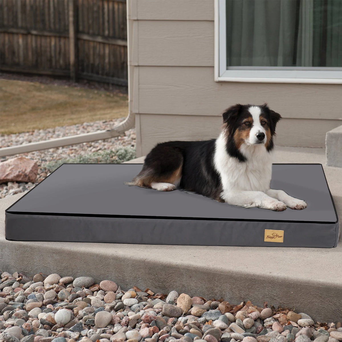 Bingopaw Washable Orthopedic Dog Bed With Removable Fabric Cover