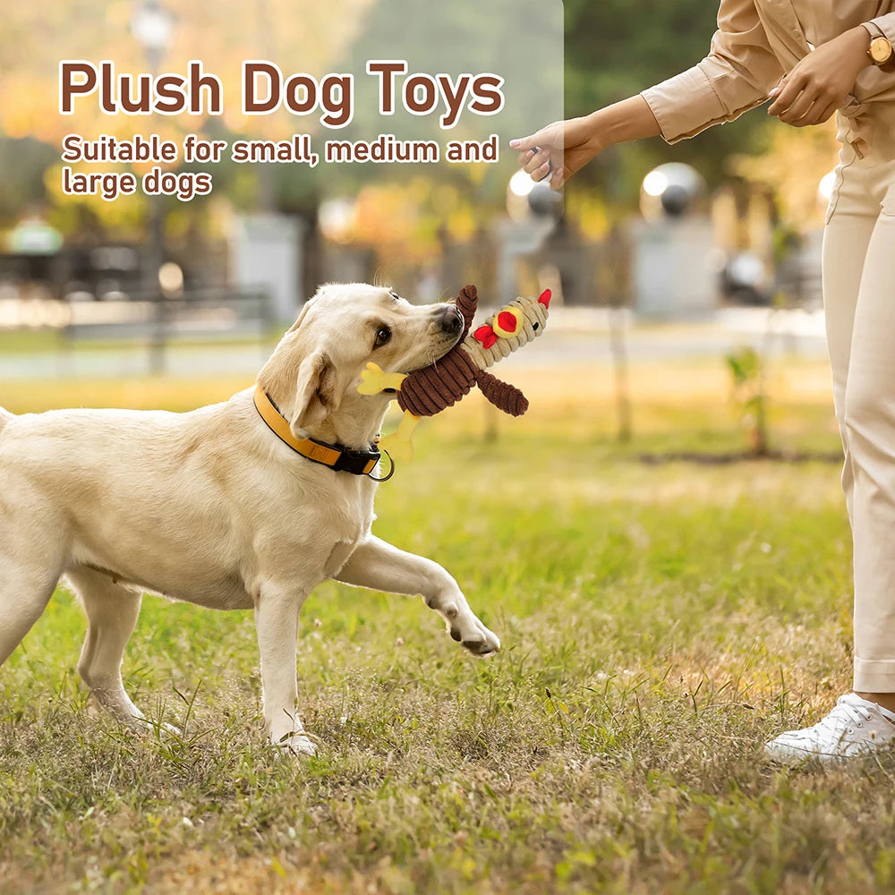 Assorted Plush Squeaky Dog Toys Stuffed Chew Value Pack