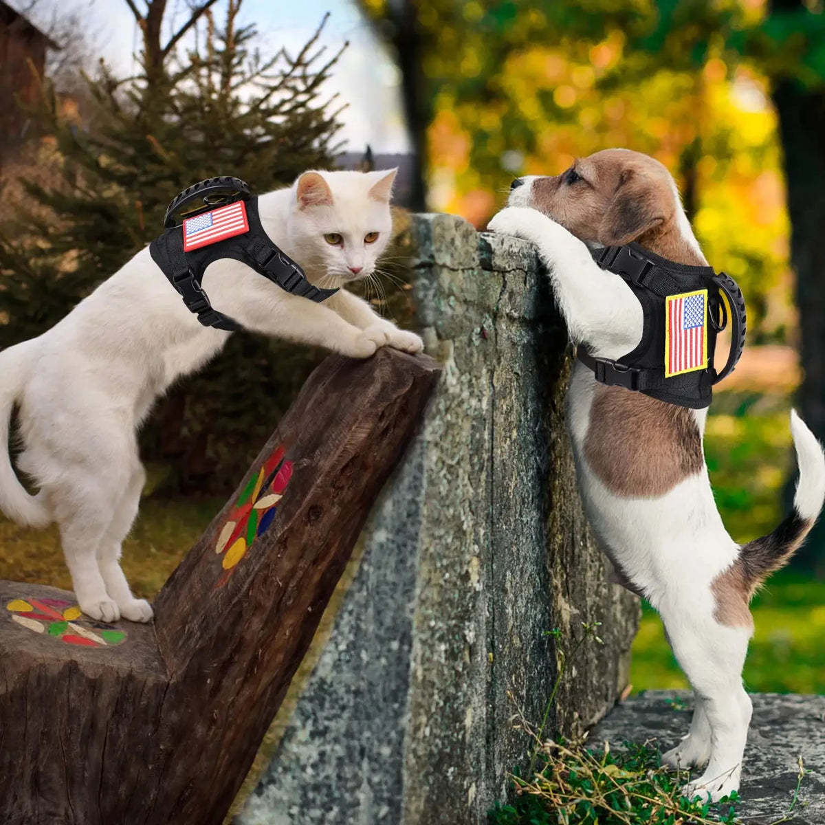 Petavel Tactical Puppy Harness With Adjustable Nylon Leash