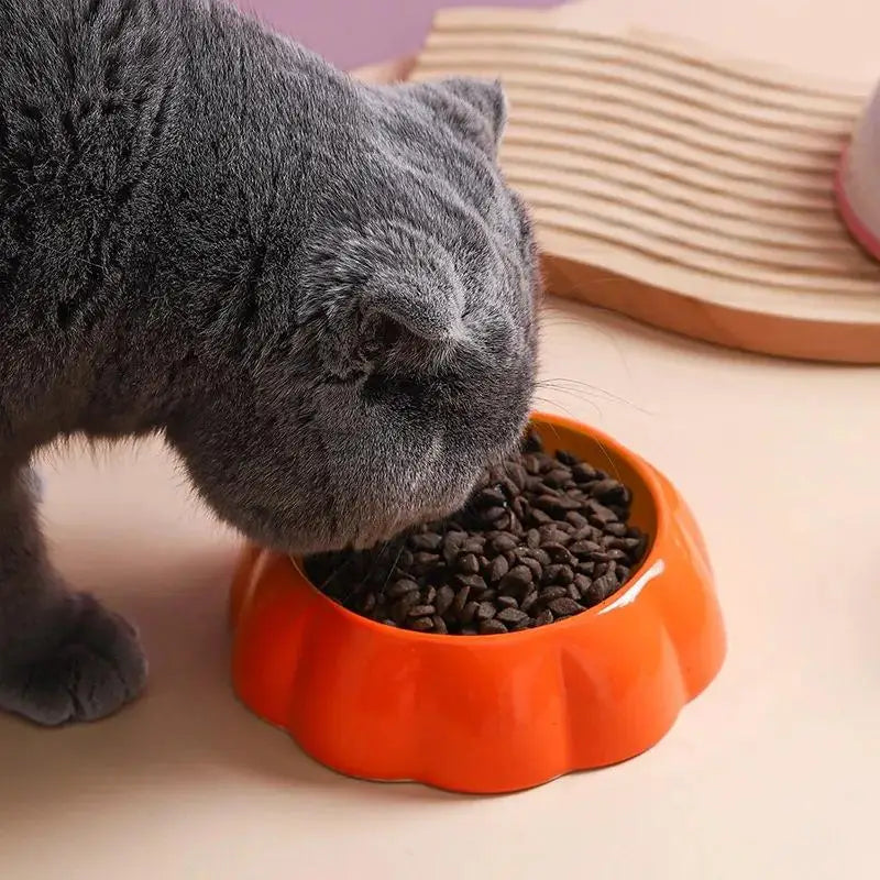 Ceramic Watermelon Cat Food Bowl With Slow Feeder Design