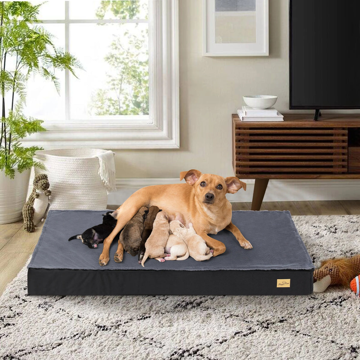 Bingopaw Washable Orthopedic Dog Bed With Removable Fabric Cover