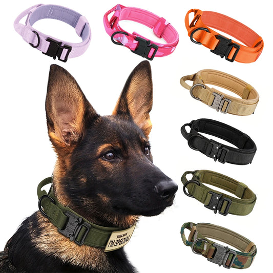 Petravel Adjustable Nylon Dog Collar Leash Set Quick Release Buckle