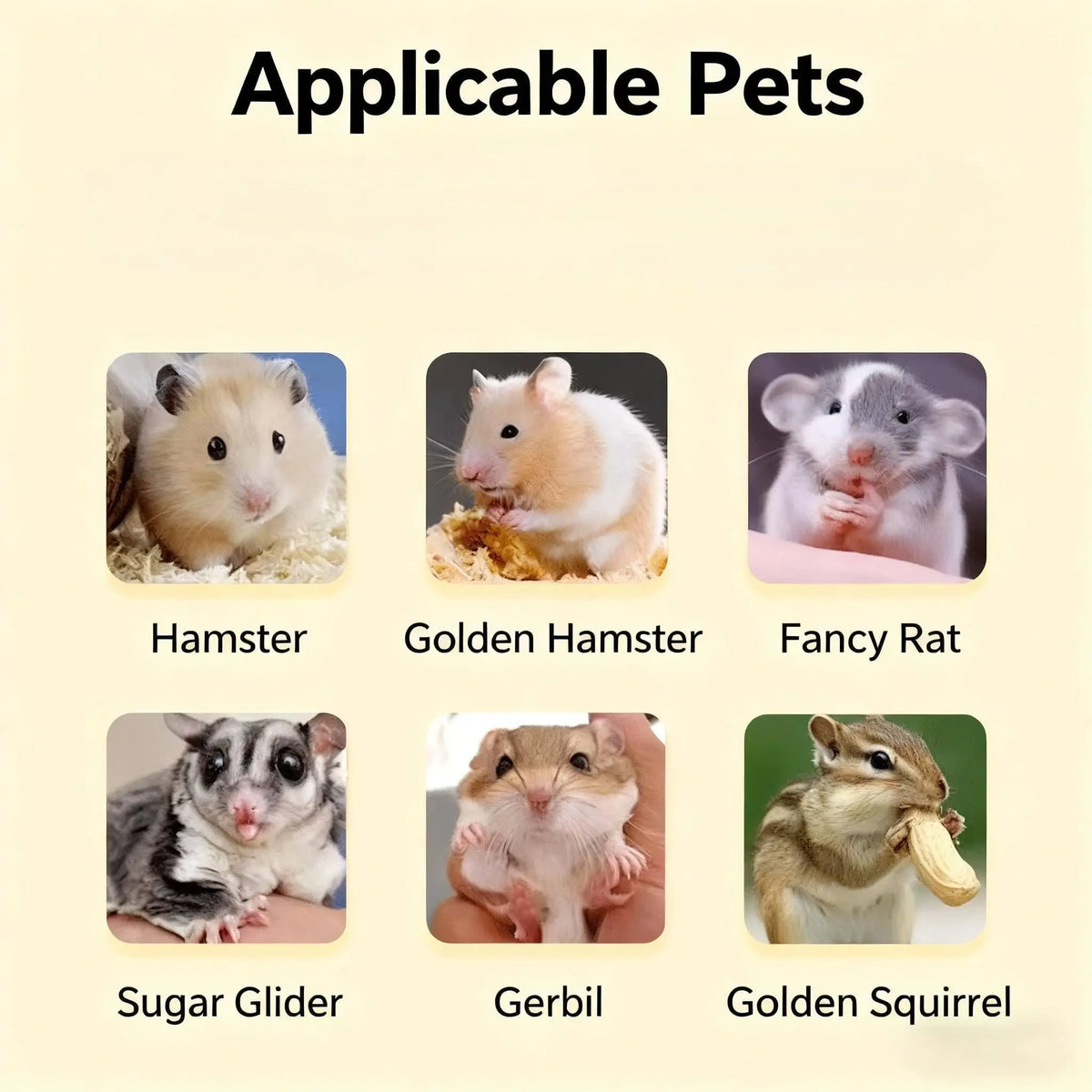 EliteZ Hamster Cage Starter Kit For Guinea Pig Rat Chinchilla