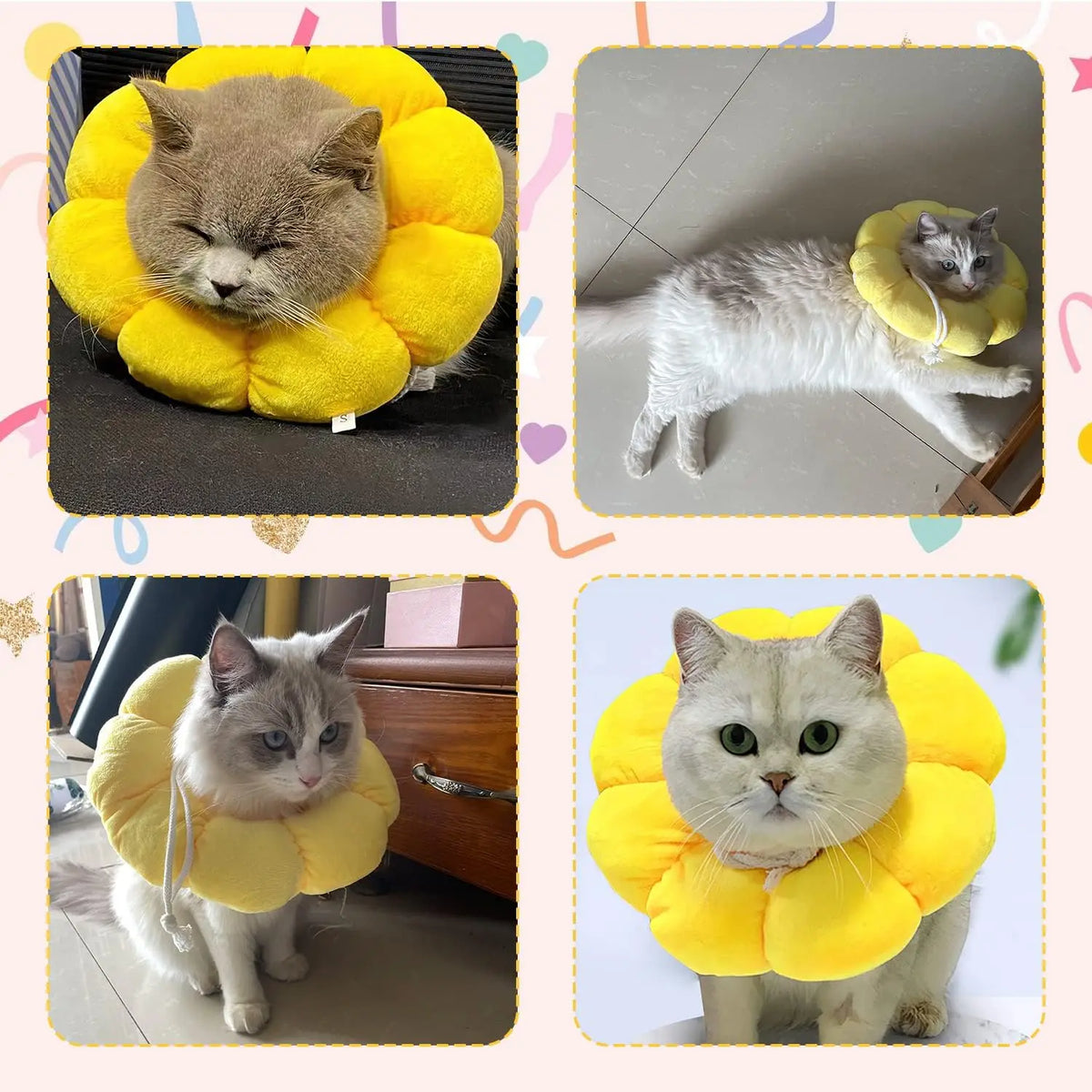 Adjustable Pet Recovery Collar For Cats And Small Dogs
