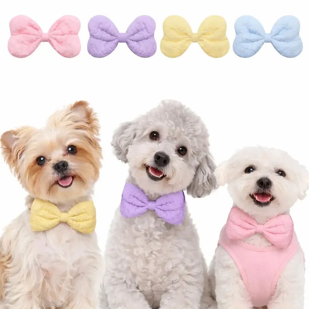 Quilted Leather Bow Tie Set For Dogs Cats Party Accessory