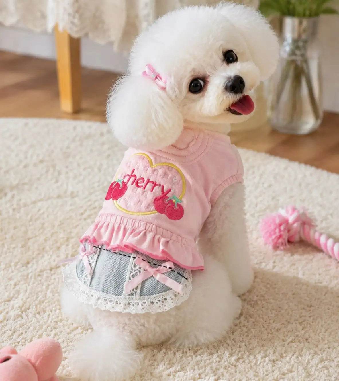 Stylish Denim Skirt Vest Set For Pets Spring Walking Outfit