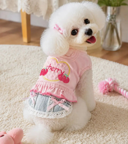 Stylish Denim Skirt Vest Set For Pets Spring Walking Outfit
