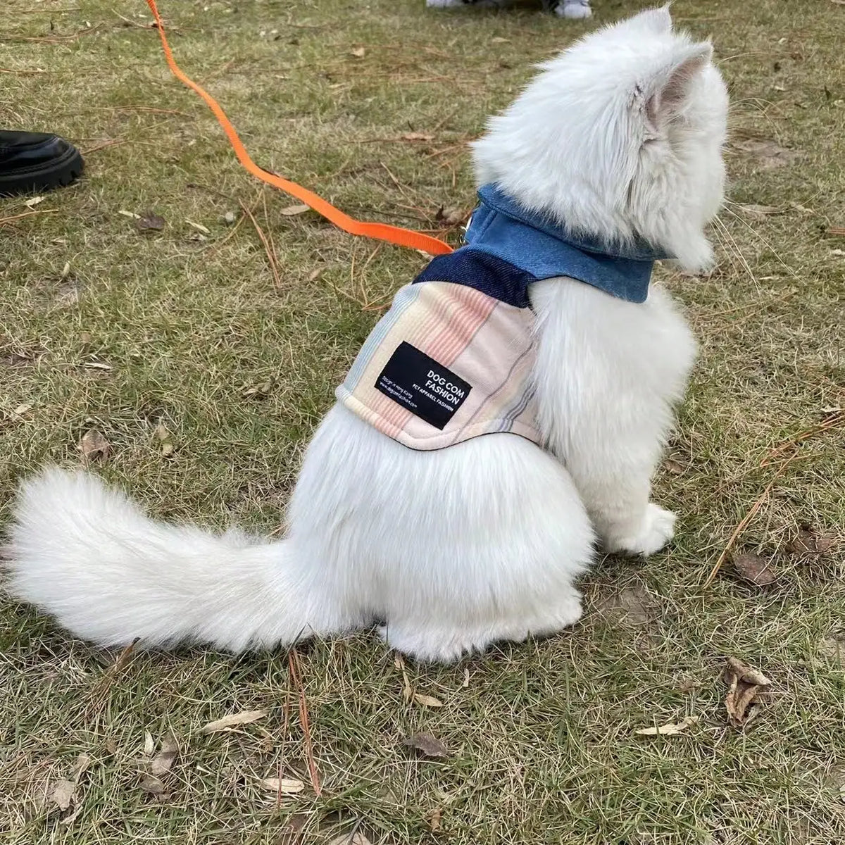 Lightweight Denim Collar Pet Vest For Dogs And Cats
