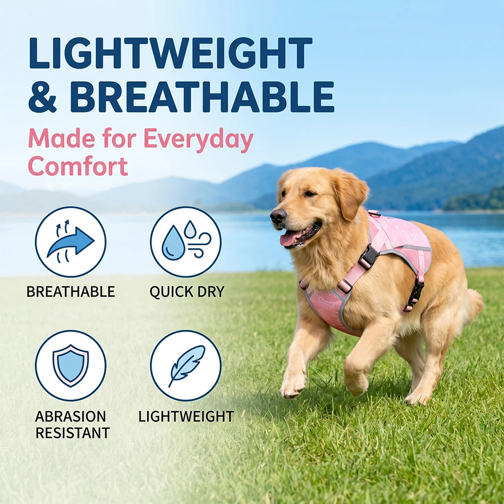 Lightweight Dog Cooling Vest Featuring Replaceable Freezer Packs