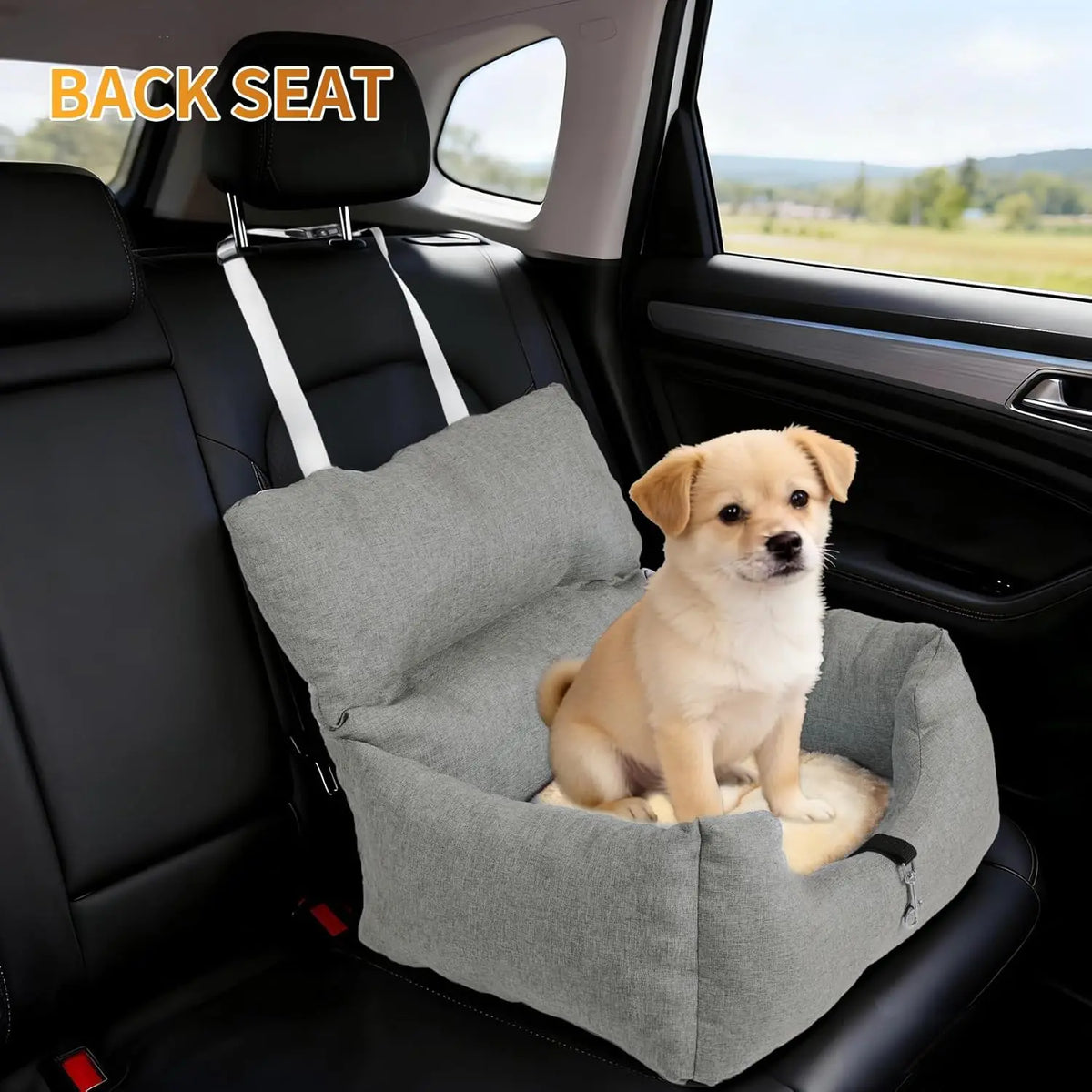 HiMiss Elevated Dog Booster Car Seat With Washable Cushion