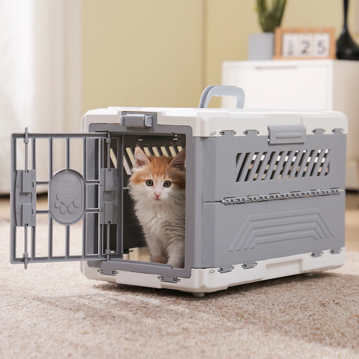 PAWZ Road Foldable Pet Travel Carrier With Secure Lock