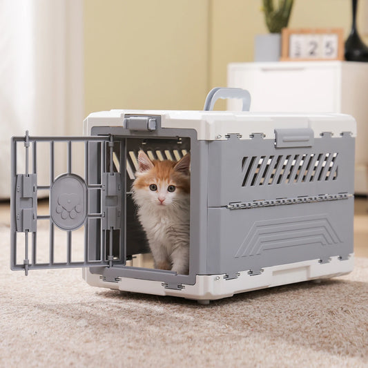 PAWZ Road Foldable Pet Travel Carrier With Secure Lock