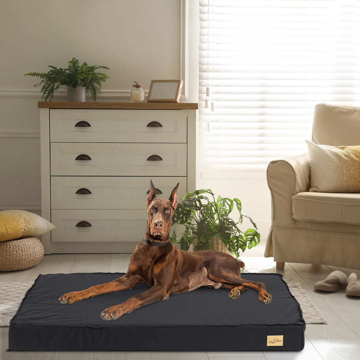 Bingopaw Washable Orthopedic Dog Bed With Removable Fabric Cover