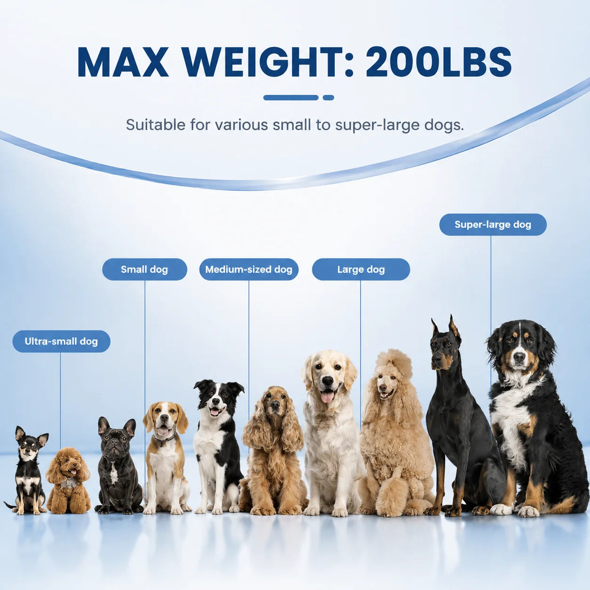 Portable Inflatable Dog Ramp For Safe Outdoor Pet Adventures