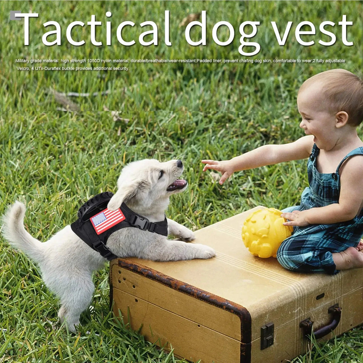 Petavel Tactical Puppy Harness With Adjustable Nylon Leash