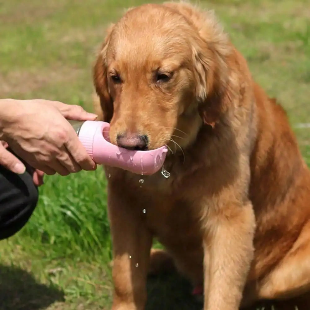 Premium Portable Dog Water And Food Travel Feeder Cup