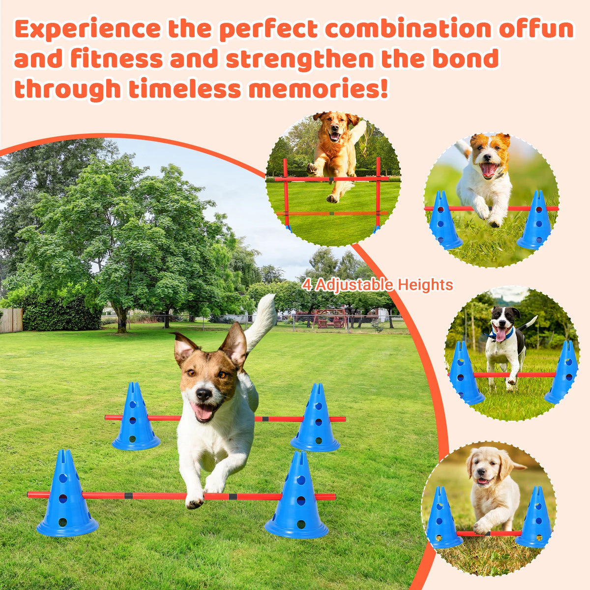 Adjustable Dog Agility Training Cone And Pole Set With Bag