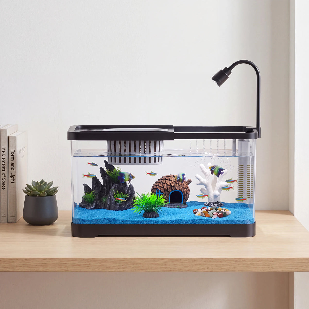 Compact Fish Tank Starter Kit With Led Light And Filter