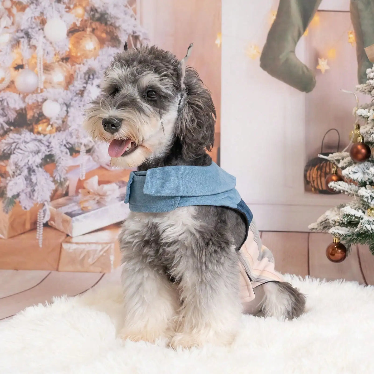 Lightweight Denim Collar Pet Vest For Dogs And Cats