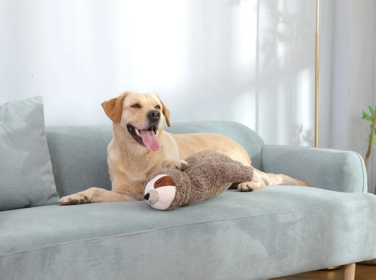 Heartbeat Sloth Plush Dog Toy For Calming Anxiety Relief