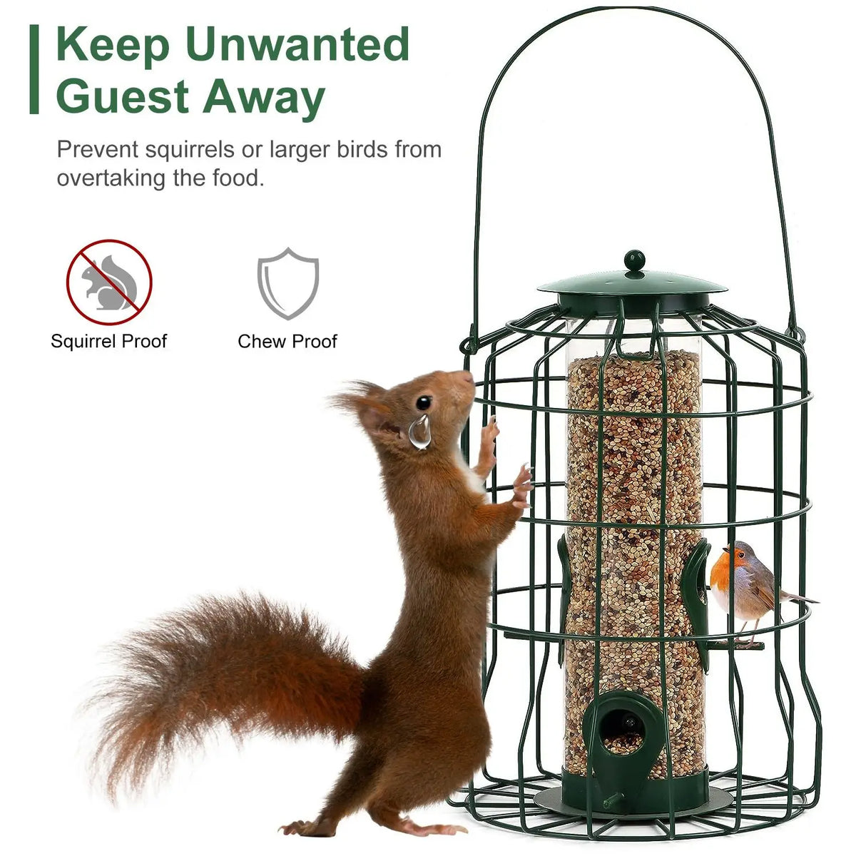 Outdoor Squirrel Proof Metal Bird Feeder With Four Feeding Ports