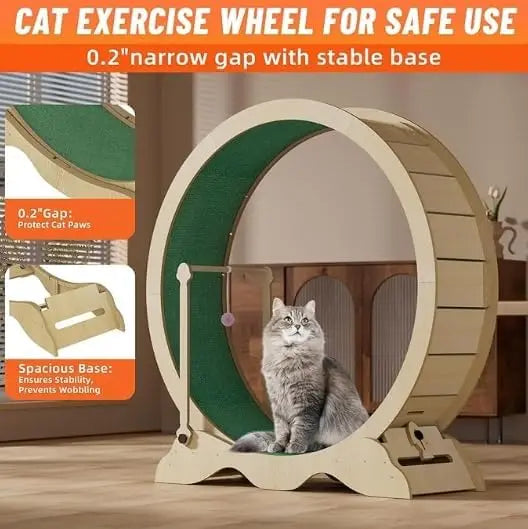 Garvee Indoor Cat Exercise Wheel For Daily Fitness And Play