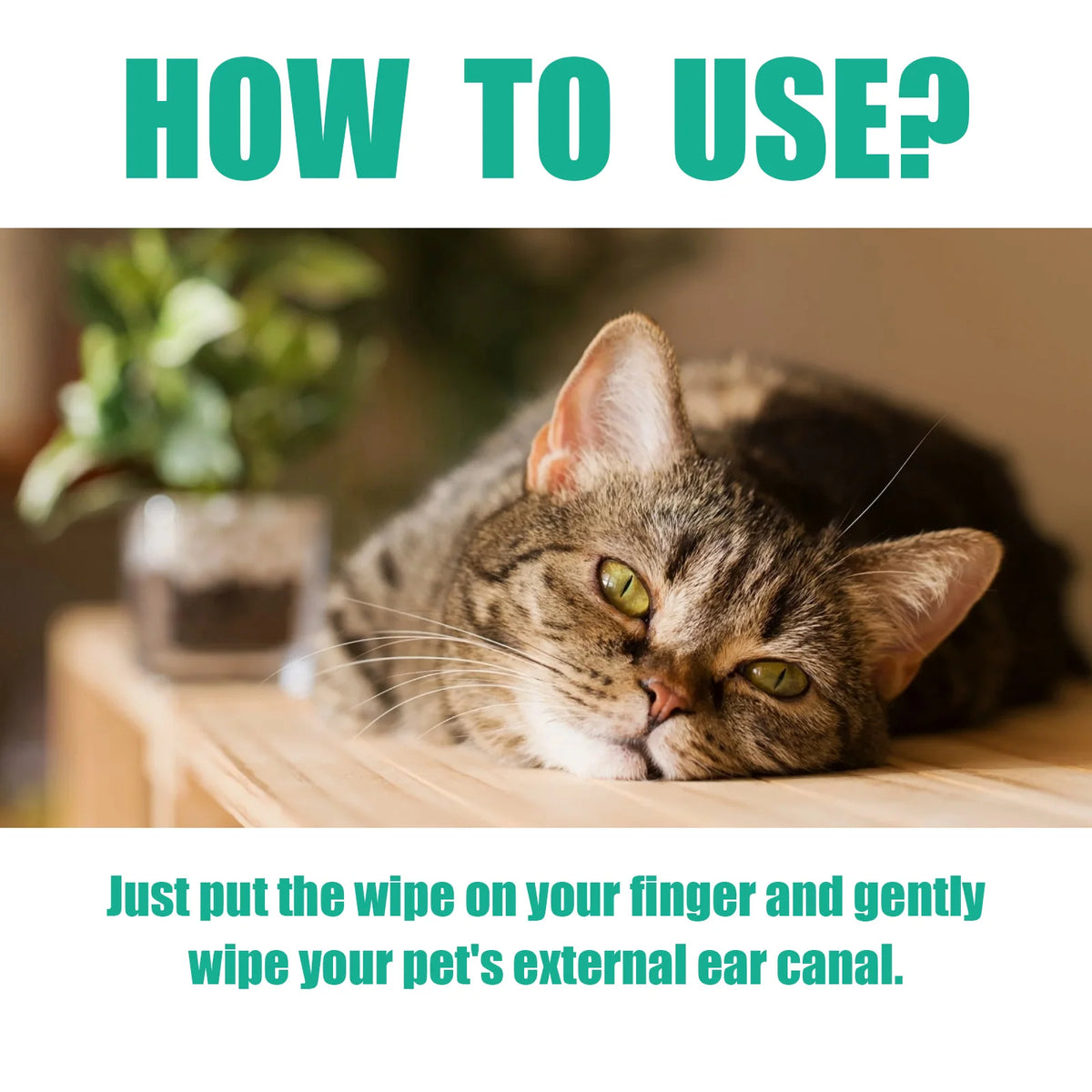 Gentle Pet Ear Cleaning Finger Wipes For Cats And Dogs