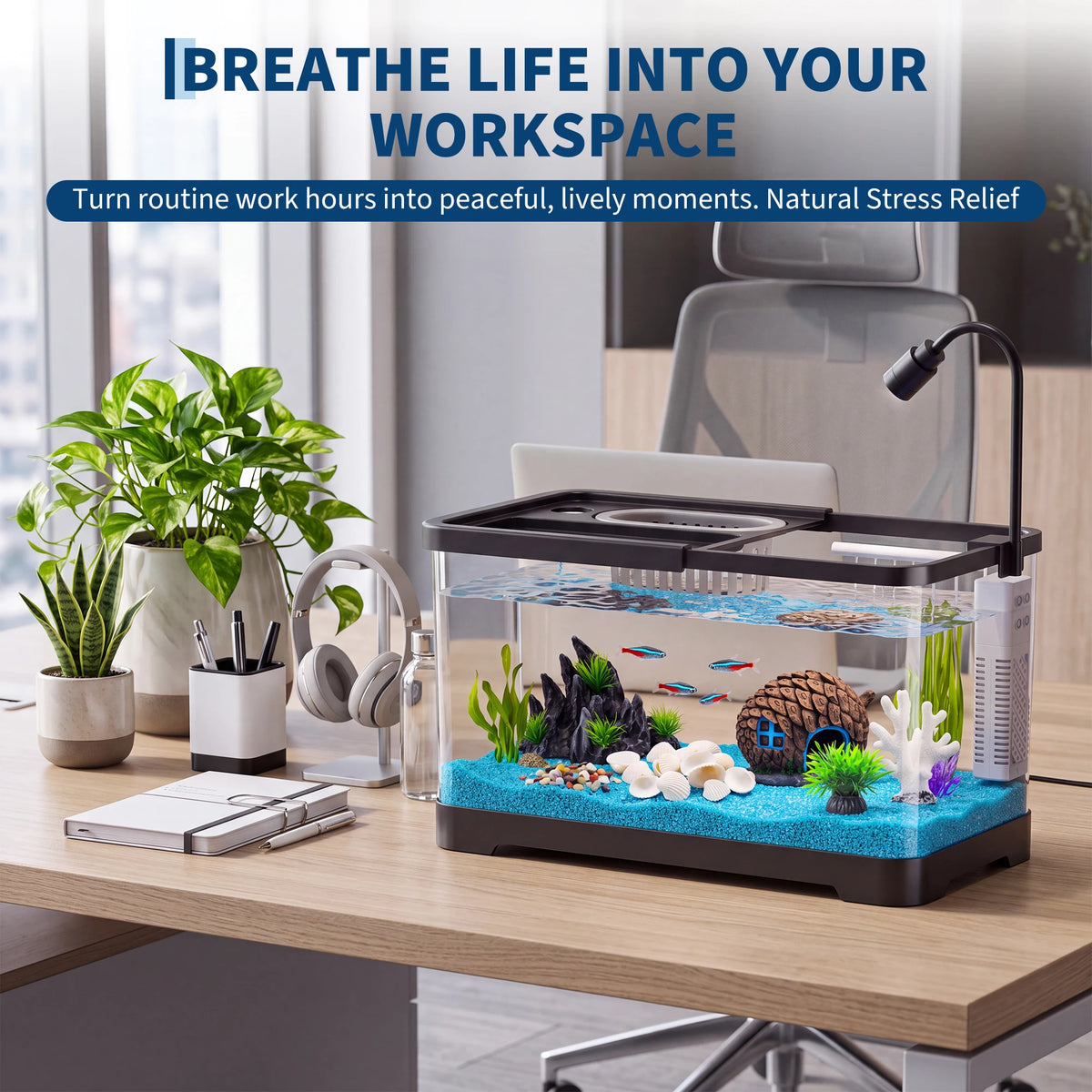 Compact Fish Tank Starter Kit With Led Light And Filter