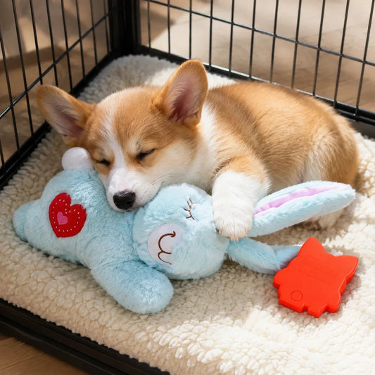 Calming Heartbeat Bunny Plush Dog Toy For Anxiety Relief