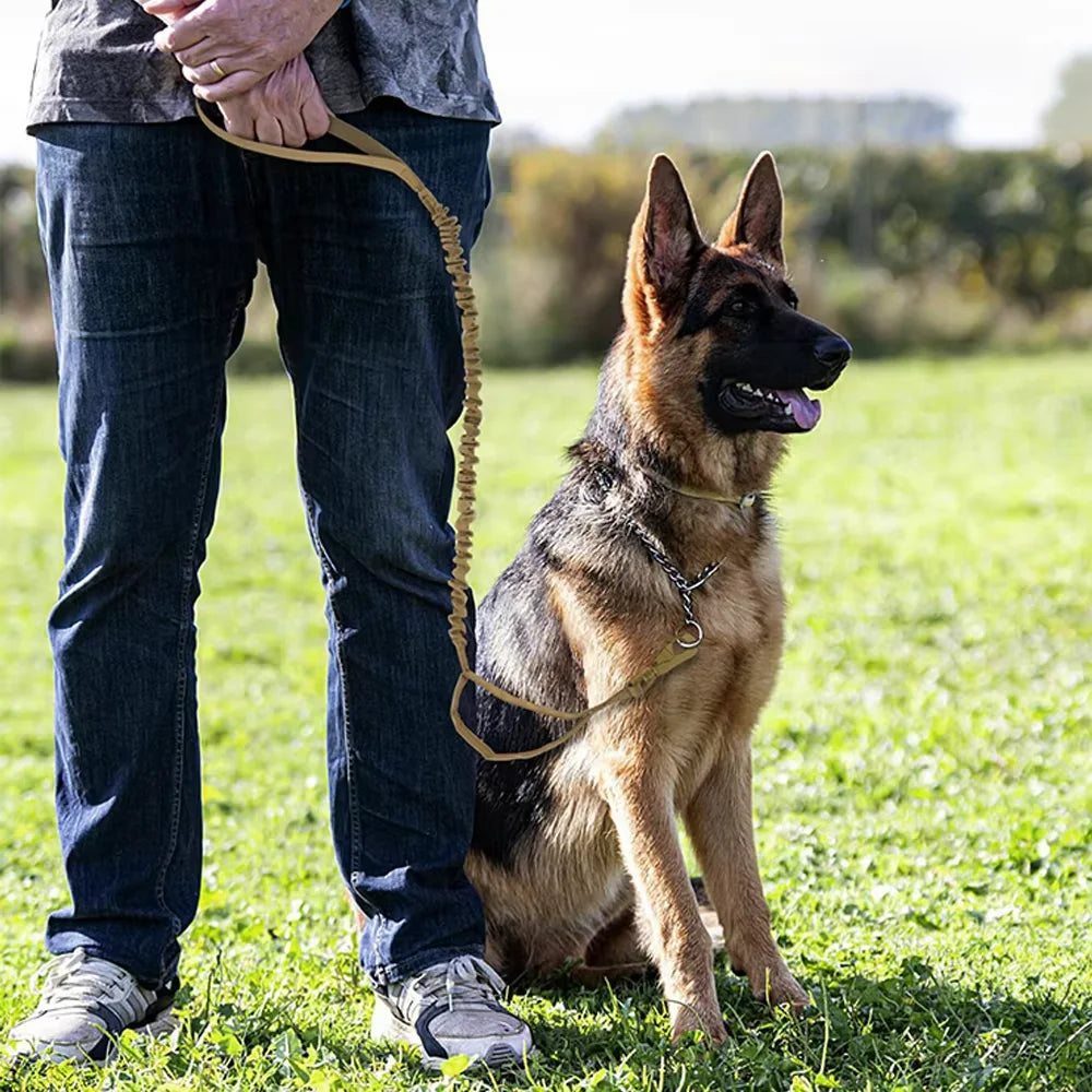 Petrawl Adjustable Elastic Nylon Dog Leash Quick Release Dual Handle
